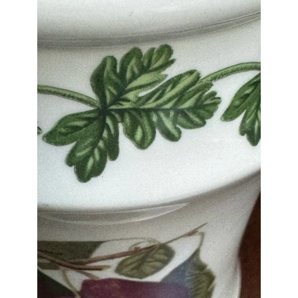Portmeirion Pomona Botanic Spice Jar Vase Utensil Jar Made in England